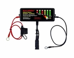 BatteryMinder OnBoard Golf Cart Battery Restorer Conditioner 48 Volt