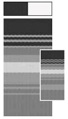 Carefree JU208D00 RV Awning Vinyl Fabric 19'-2" - Black/Gray Dune Stripe With White Weatherguard