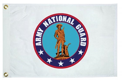 Taylor Made 5627 Army National Guard Flag - 12" x 18"